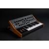 Аналоговые синтезаторы Moog Subsequent 25